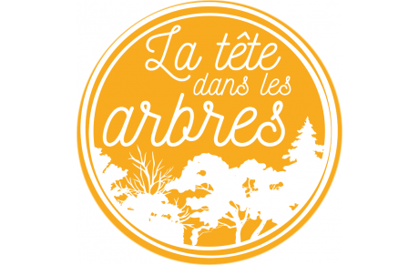 La Tête dans les Arbres